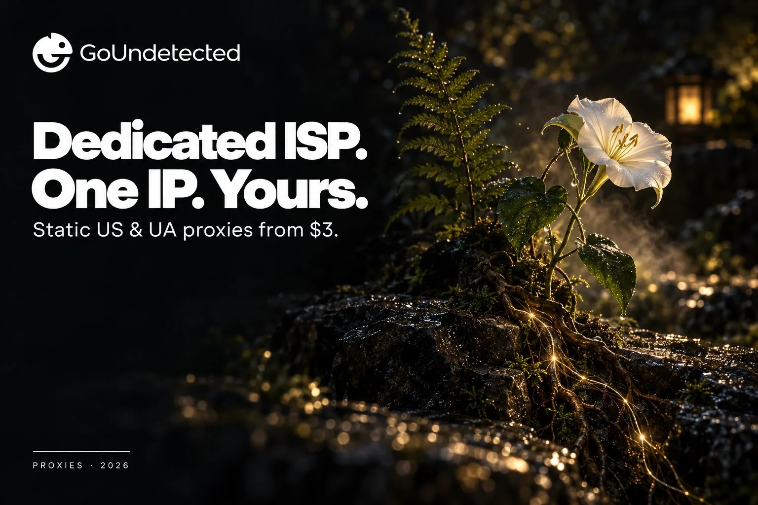 Night botanical scene with a single fern and moonflower in steady golden light, representing a dedicated static ISP proxy